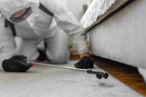 Professional Bed Bug Control technician working in Bayfield County County, WI